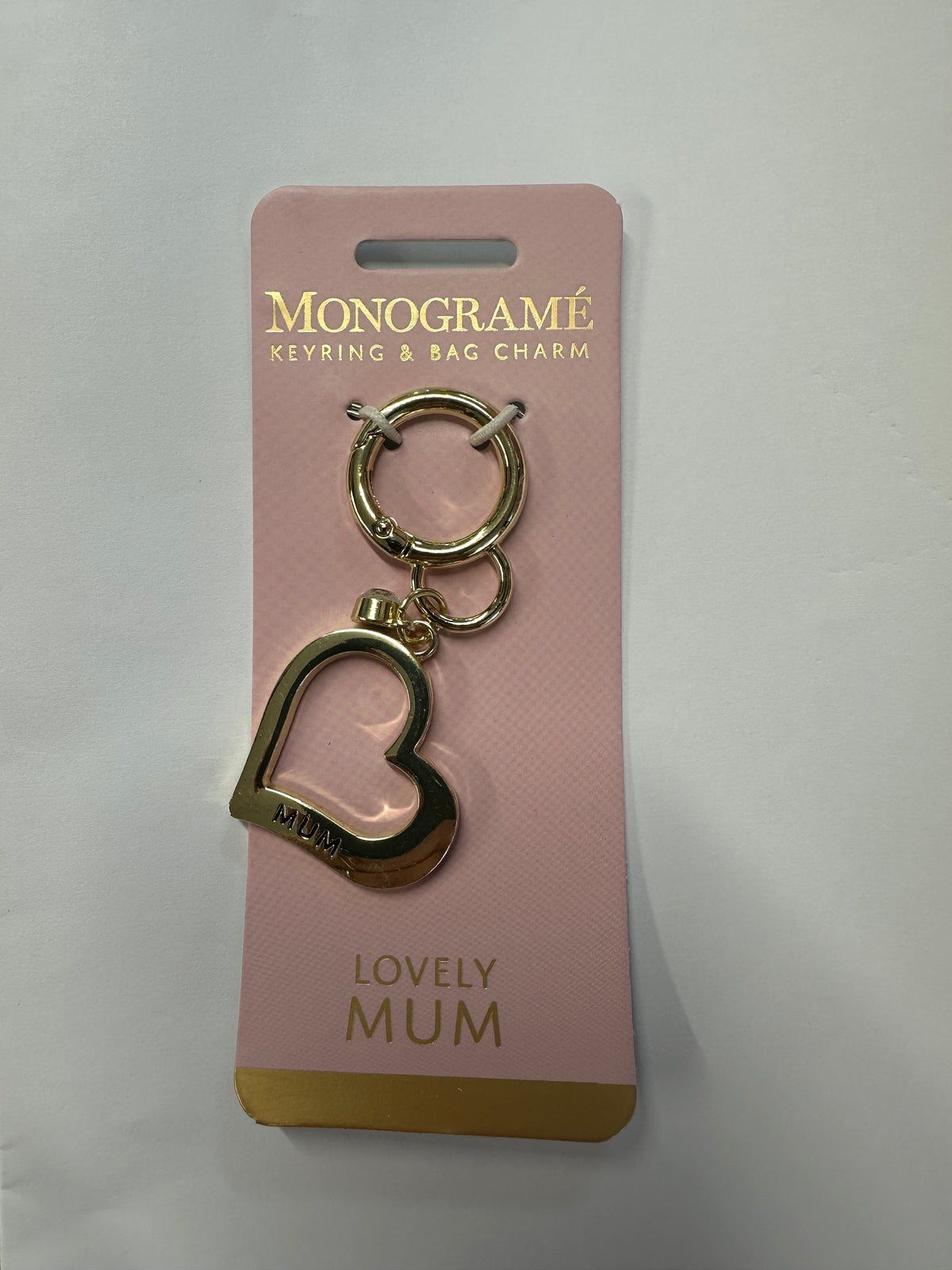 Keyring and Bag Charm
