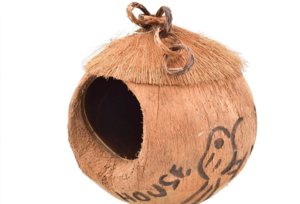 Coconut Bird Feeder